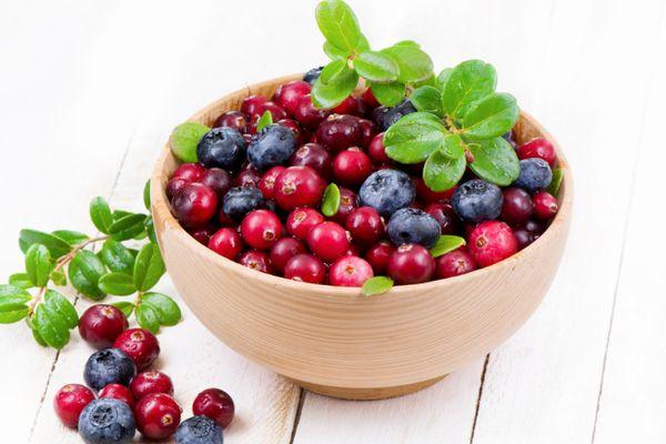 บลูเบอร์รี่กับลิงกอนเบอร์รี่