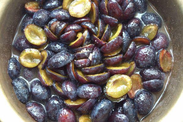 ลูกพลัมไม่มีเมล็ด