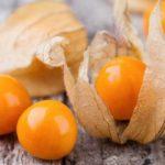 ฟิซาลิสสุก