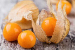 สูตรทำแยมฟิซาลิสหน้าหนาวที่อร่อยที่สุด วิธีทำแยมและเก็บรักษา