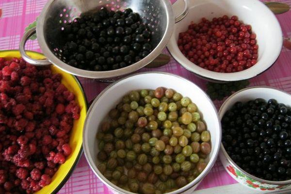 Confitures assorties