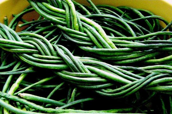 ถักเปียถั่วพุ่ม