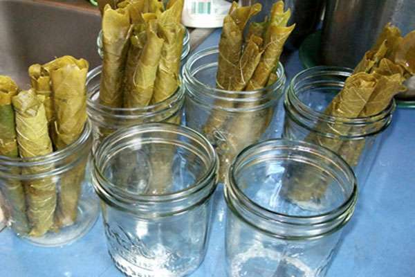 การเตรียมใบองุ่นเพื่อดอง