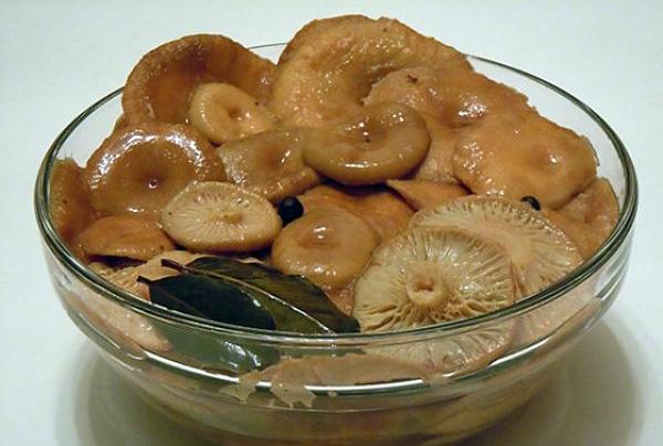 volnushki marinés dans un bol