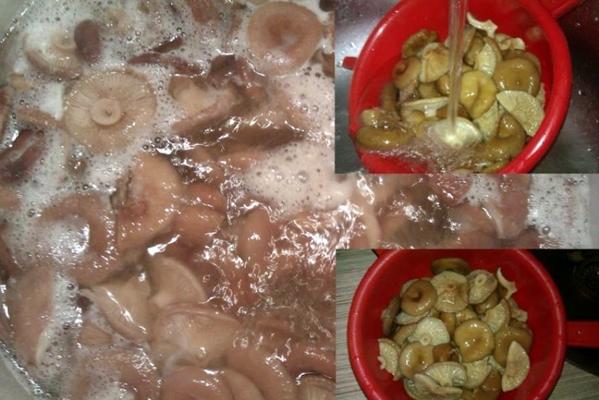 cuisiner des volnushki