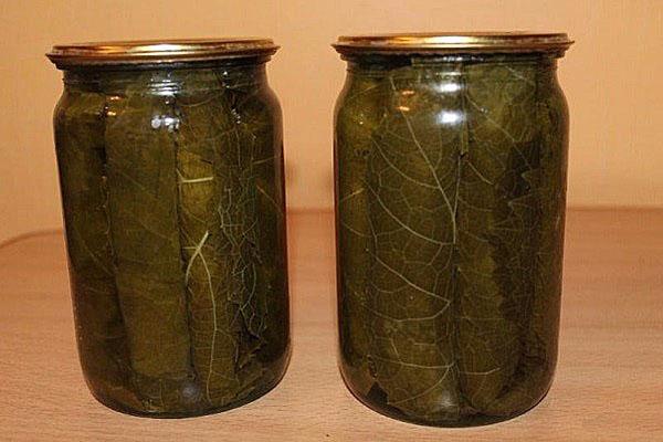 ใบองุ่นในขวด