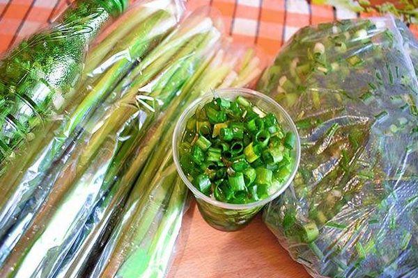 การเก็บรักษาหัวหอม