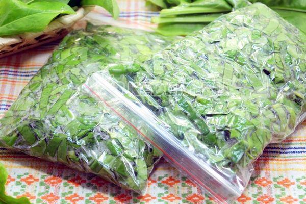 หัวหอมในถุง