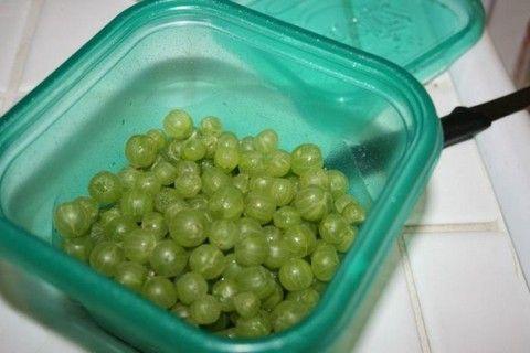 ลูกเกดในถาด