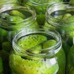 แตงกวากับวอดก้าในขวด