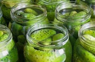 แตงกวากับวอดก้าในขวด