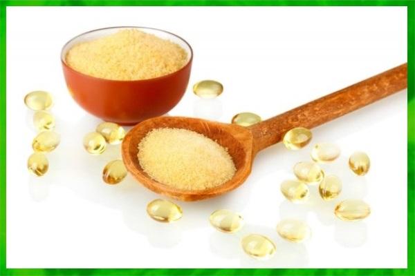 เจลาติน