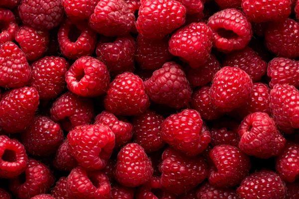 ราสเบอร์รี่สด
