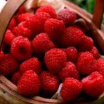 ตะกร้าใส่ผลเบอร์รี่