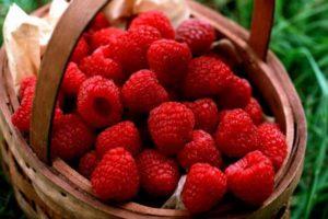 Recettes simples de gelée de framboise avec et sans cuisson pour l'hiver, avec graines et « Five-Minute »