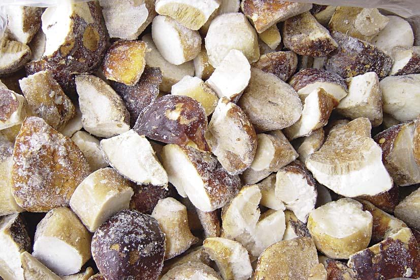 congeler des champignons