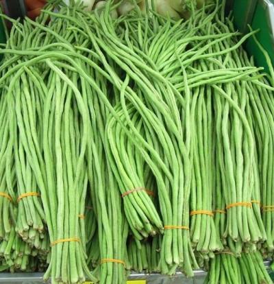 หน่อไม้ฝรั่งเป็นพวง