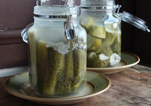 แตงกวาในขวดโหล