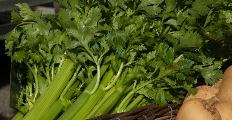 ขึ้นฉ่ายสด