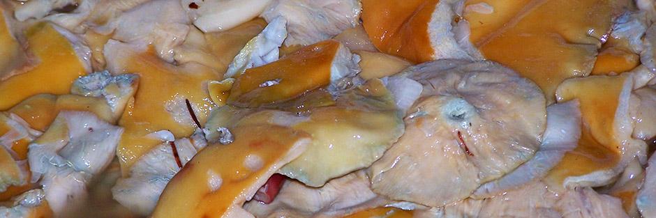 champignons marinés