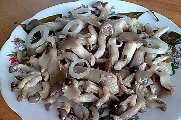 เห็ดนางรมทอด