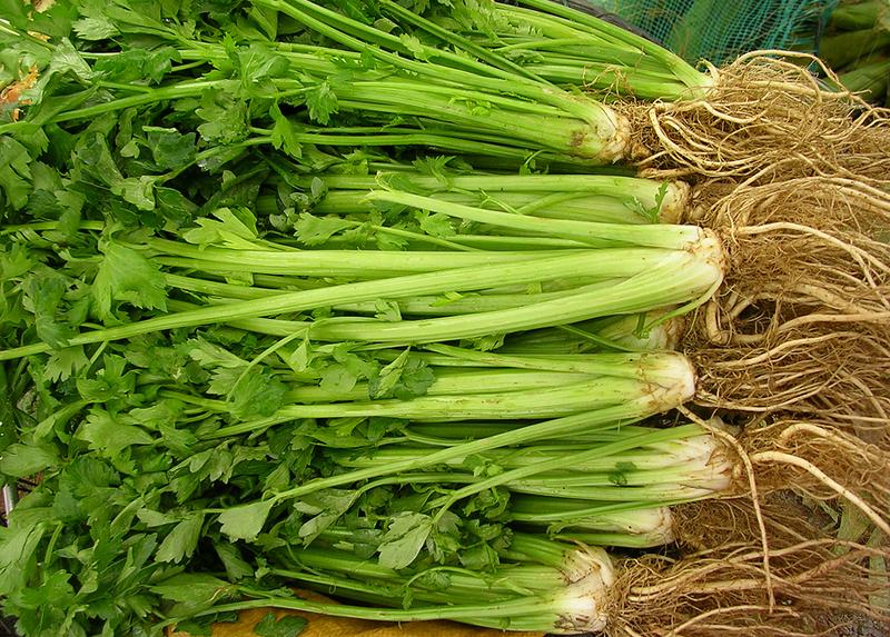 ขึ้นฉ่ายสด