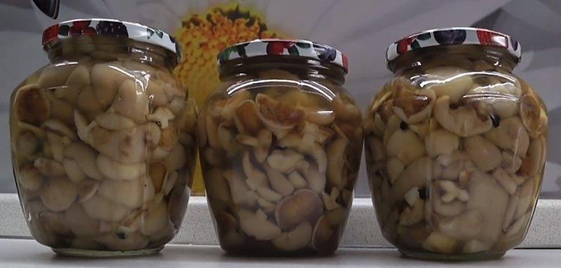 เห็ดดองเนย