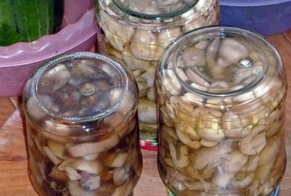 เห็ดรัสซูล่าสำหรับฤดูหนาวในขวดโหล