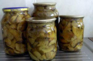 วิธีดองเห็ดรัสซูล่าในขวดโหลสำหรับฤดูหนาว: สูตรที่ดีที่สุดและสภาวะการเก็บรักษา