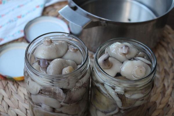 le processus de salage est huileux