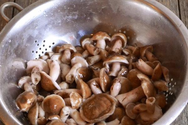 laver les champignons au beurre