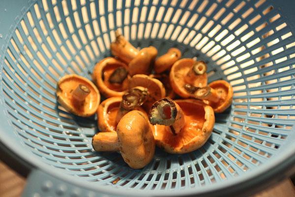 laver les capsules de lait au safran