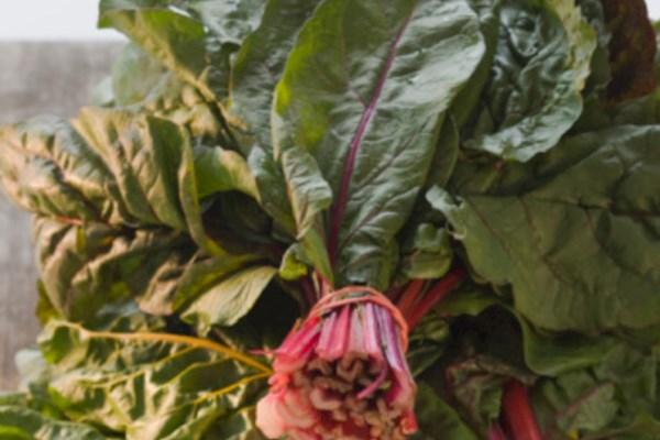 กิ่งของชาร์ด