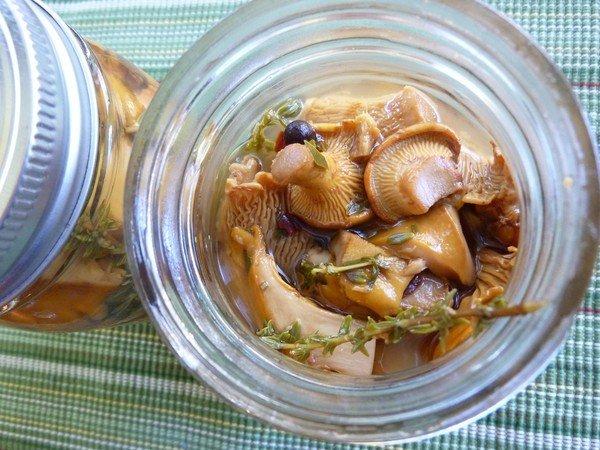 girolles en bocal