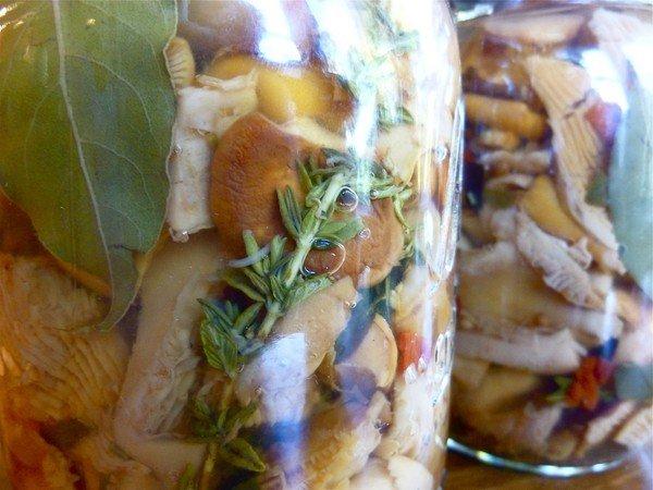 girolles en bocaux sur la table