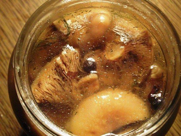 แคปซูลนมหญ้าฝรั่นในขวด