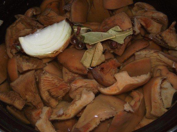 ฝานมหญ้าฝรั่นดอง