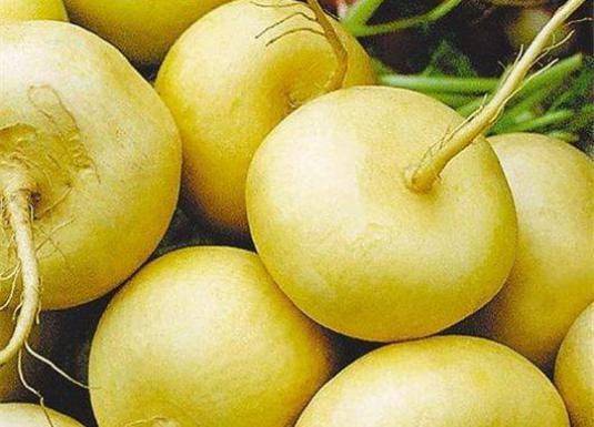 ความเป็นจริงที่สดใหม่