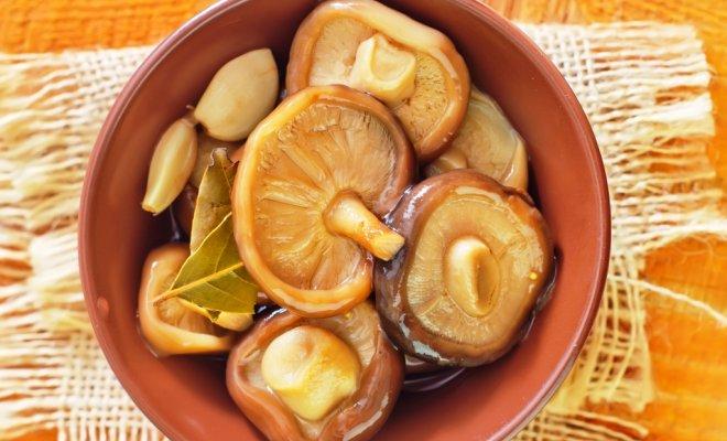 champignons marinés