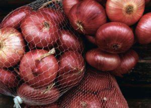 ชนิดของพันธุ์หัวหอมพร้อมชื่อและคำอธิบาย ความแตกต่าง และการปลูก