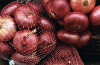 หัวหอมดานิลอฟสกี้