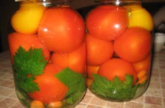 มะเขือเทศกับขึ้นฉ่ายในขวด