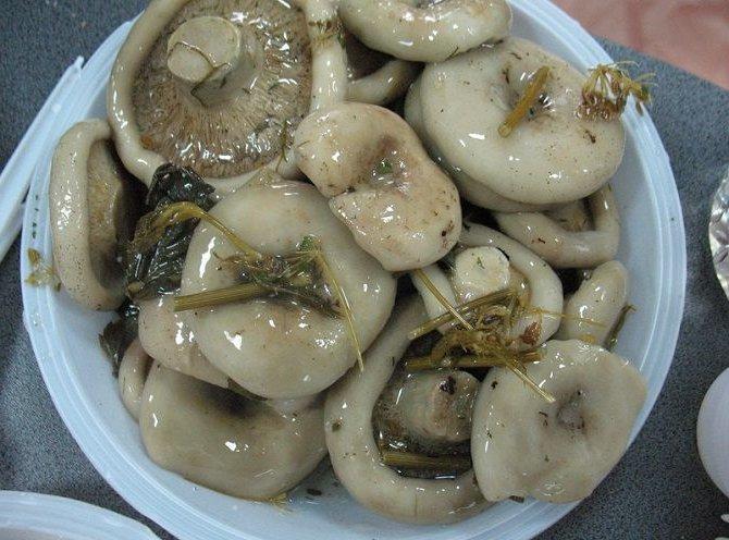 champignons marinés