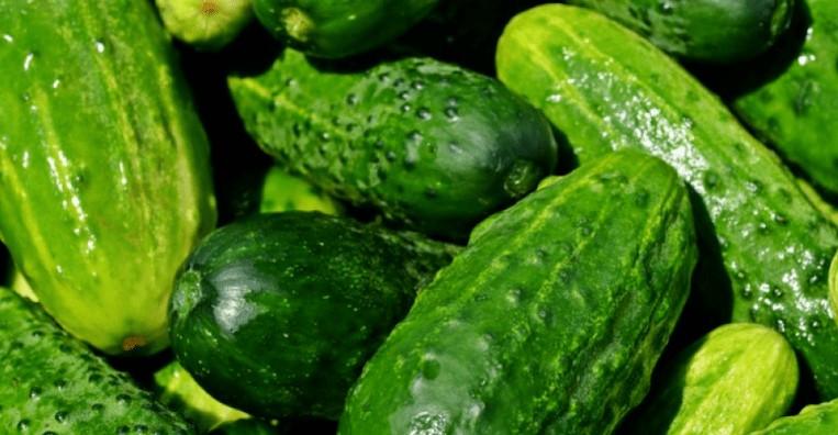 แตงกวาสด