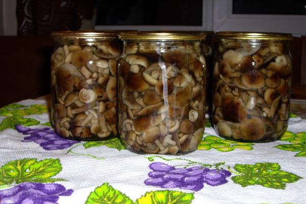 เห็ดดองเนย