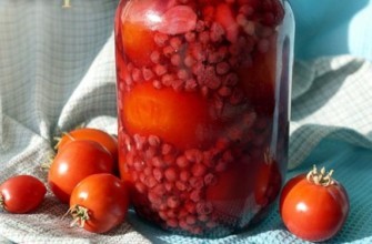 มะเขือเทศในน้ำลูกเกดในขวด