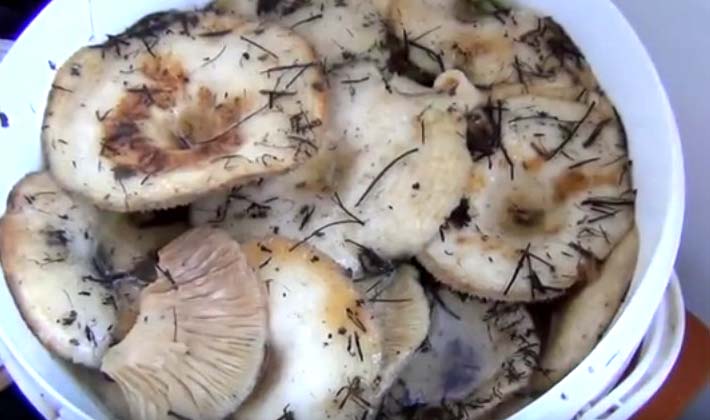 champignons marinés