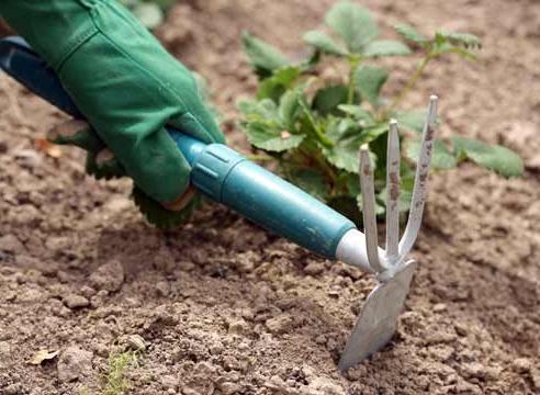 การคลายดิน