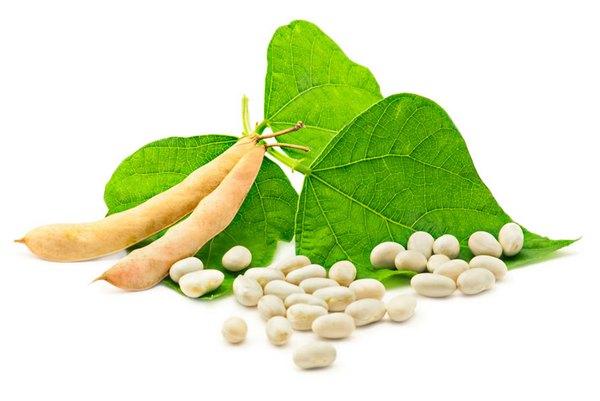 ถั่วบนโต๊ะ