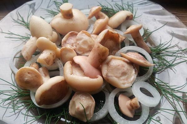 champignons au beurre salé sur une assiette